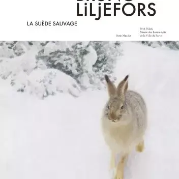 Liljefors catalogue recto